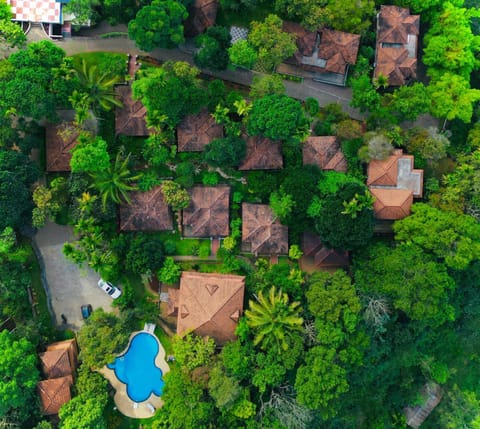 Property building, Day, Natural landscape, Bird's eye view, Garden view, Swimming pool