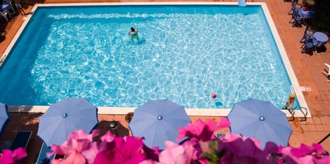 Pool view, Swimming pool