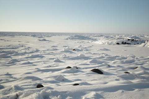 Natural landscape, Winter, Sea view