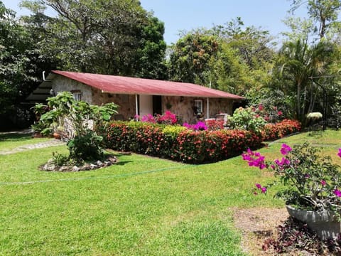 Property building, Garden view