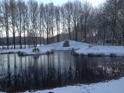 Winter, Garden, View (from property/room), Decorative detail