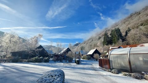 Winter, Photo of the whole room