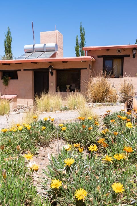 Property building, Day, Garden