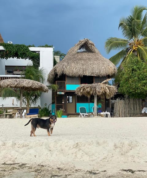 Casa Akira- Rincón del Mar Nature lodge in Sucre, Colombia