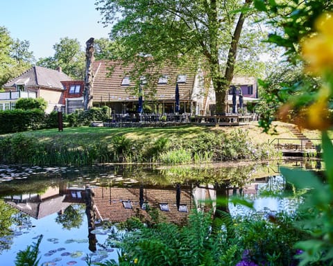 Natural landscape, Garden, Garden view, Lake view