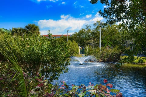 Sunrise Suites Bonaire Suite #210 Apartment in Key West