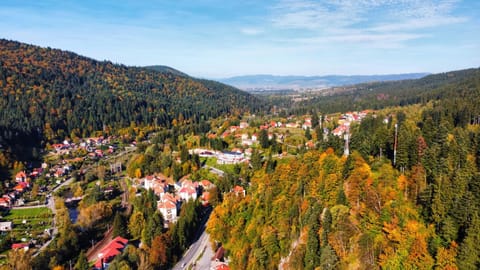 Autumn, City view