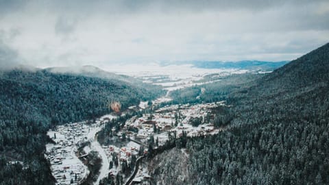 Natural landscape, Winter, Mountain view