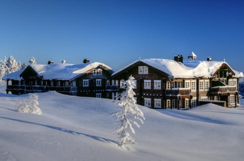 Property building, Winter