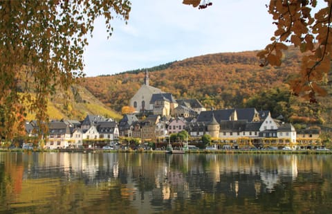 Hotel Haus Burg Metternich Hotel in Cochem-Zell