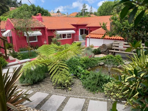 Patio, Bird's eye view, Garden