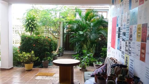 Patio, Garden