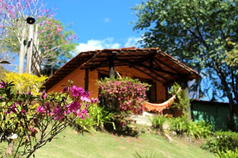 Facade/entrance, Garden