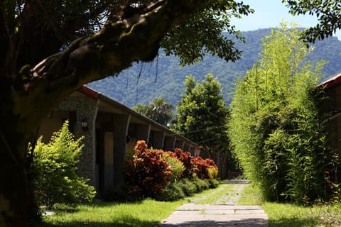 Day, Natural landscape, Garden