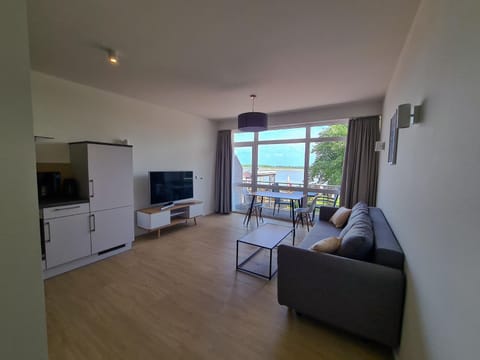 Patio, TV and multimedia, Balcony/Terrace, Kitchen or kitchenette, Living room, Photo of the whole room, Decorative detail, Seating area, Dining area, Lake view