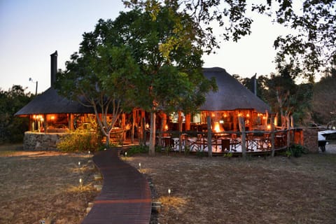 Sibuya Game Reserve and Lodge Nature lodge in Eastern Cape