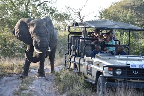 Tembe Elephant Park Lodge Luxus-Zelt in KwaZulu-Natal