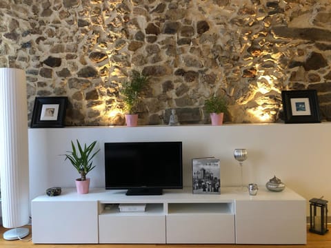 L'Authentik, charme et confort en vieille ville Apartment in Annecy