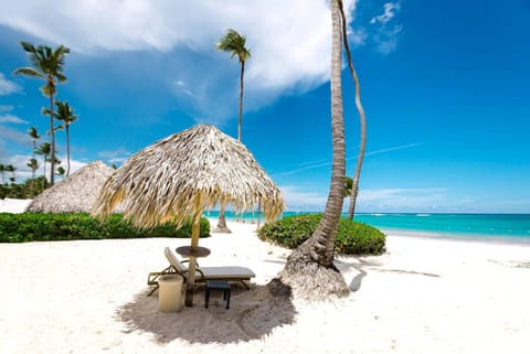 Special offer! Villa Bueno with private pool&beach Villa in Punta Cana