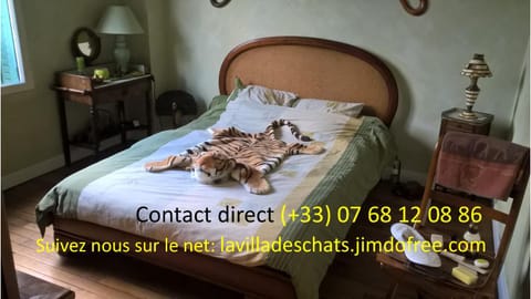 la villa des chats Bed and breakfast in Saint-Germain-en-Laye