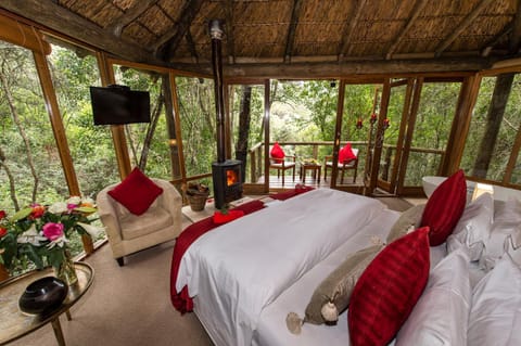 Trogon House and Forest Spa Bed and Breakfast in Eastern Cape