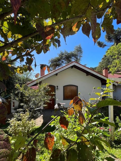 Facade/entrance, Garden, Garden