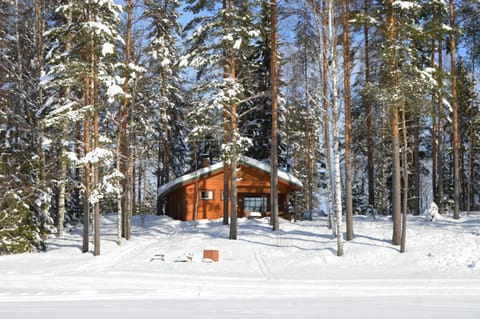 Facade/entrance, Day, Winter, Skiing, On site, Lake view