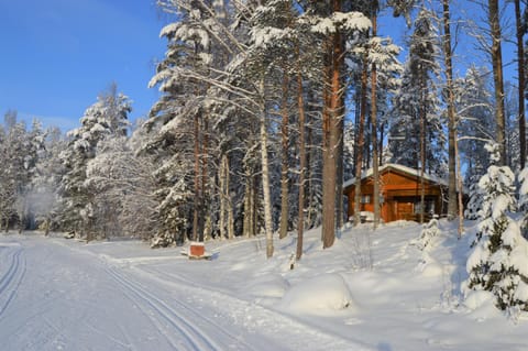 Property building, Winter