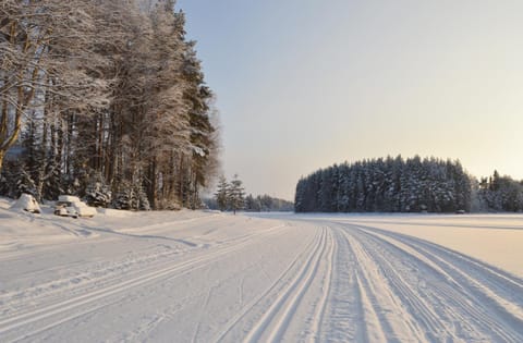 Day, Natural landscape, Winter, On site