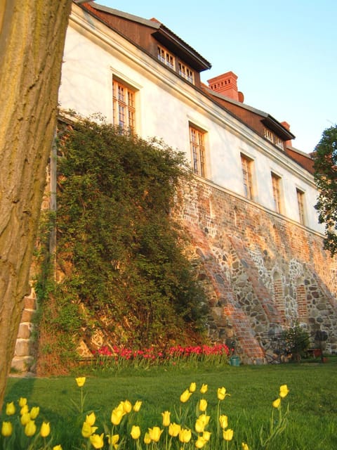 Property building, Day, Garden