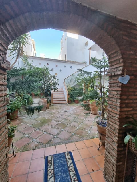 Patio, Garden, Garden view