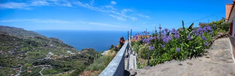 Casas Tipicas Candelaria Tabua House in Madeira District