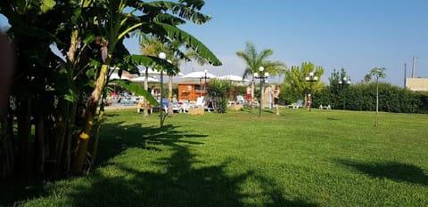 Garden, Aqua park, Garden view, Pool view