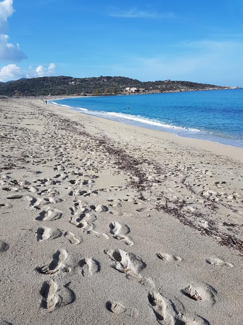 Natural landscape, Beach