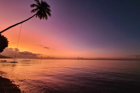 Beach, Sunset