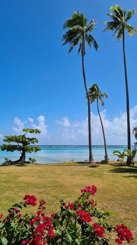 Garden, Beach, Sea view