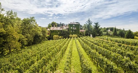 Garden, Street view