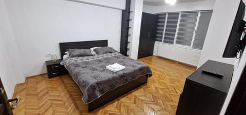 Amedeea Accomodation Apartment in Timisoara