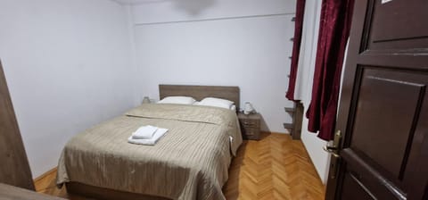 Amedeea Accomodation Apartment in Timisoara