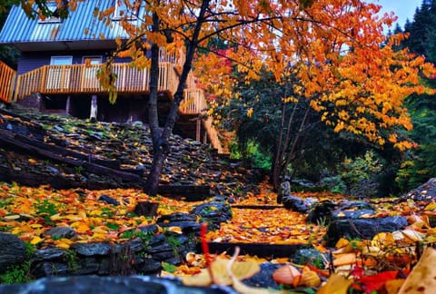 Property building, Natural landscape, Garden view