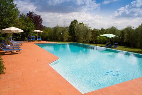 Garden, Swimming pool, Swimming pool