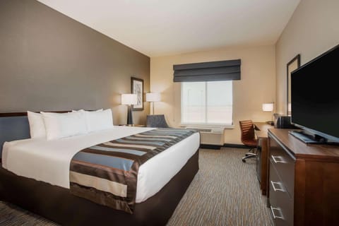 Wingate by Wyndham Denver Airport Hotel in Commerce City