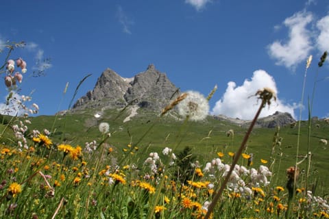 Natural landscape, Summer, Hiking, Mountain view