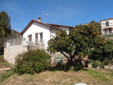 Property building, Facade/entrance, Bird's eye view, Garden