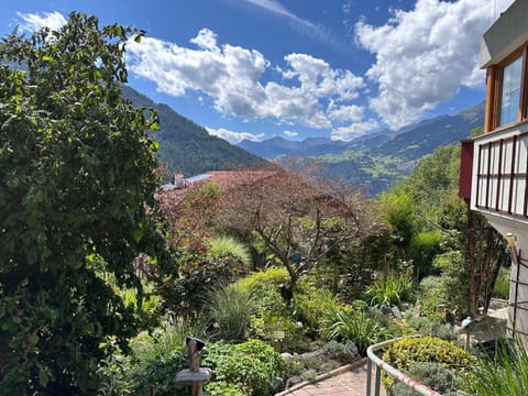 View (from property/room)