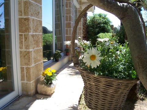 Cottage nel verde Casa in Nardò