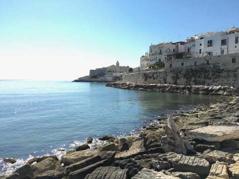 Neighbourhood, Natural landscape, Hiking