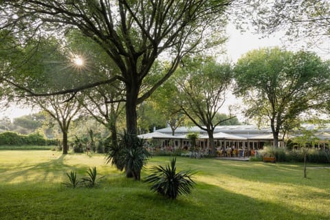 Spring, Day, Natural landscape, Garden, Garden view