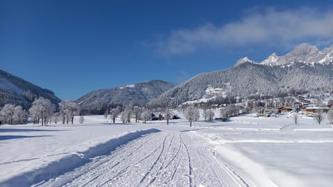 Pension Felsenheim Bed and Breakfast in Schladming