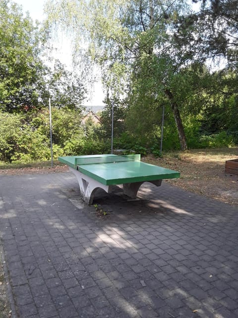 Table tennis